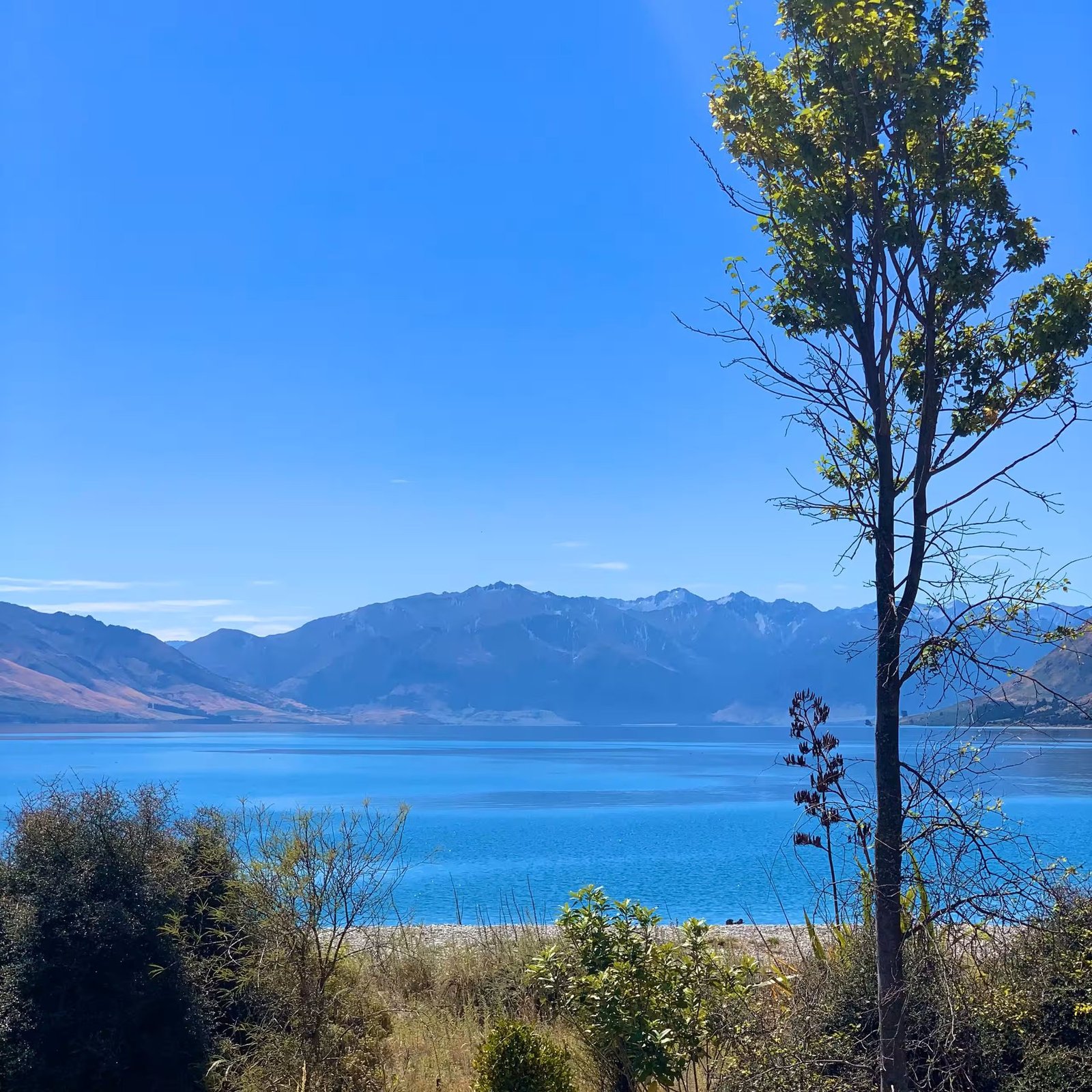 Lake Hawea blue water with mountain backdrop